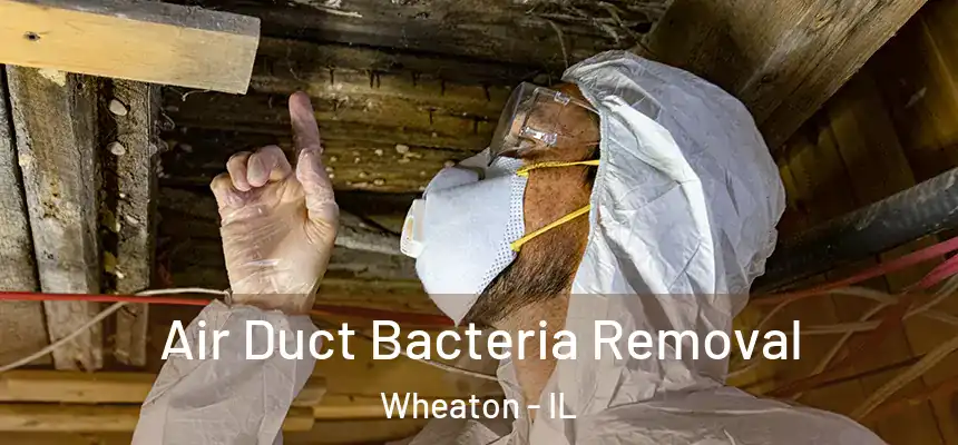 Air Duct Bacteria Removal Wheaton - IL