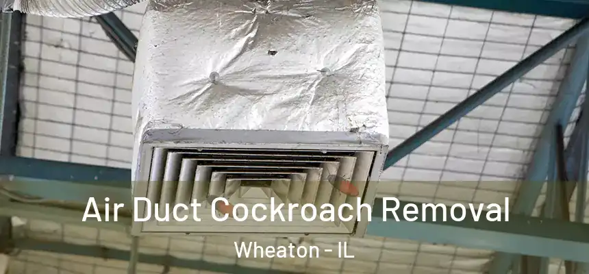 Air Duct Cockroach Removal Wheaton - IL