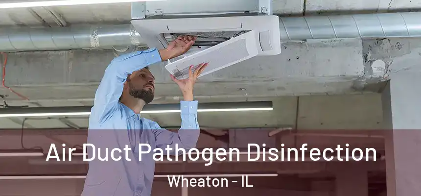 Air Duct Pathogen Disinfection Wheaton - IL