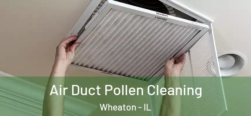 Air Duct Pollen Cleaning Wheaton - IL
