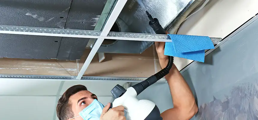 Our Air Duct Rodent Removal Services in Wheaton, IL