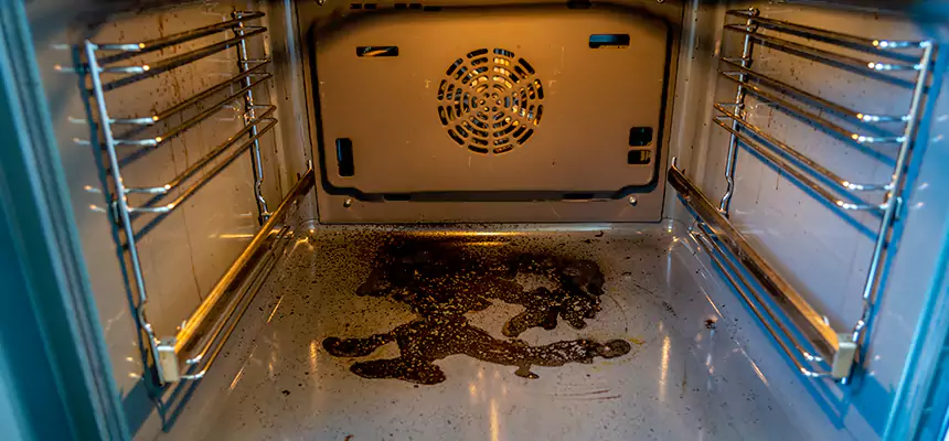 Our Dryer Vent Mold Cleaning Services in Wheaton, IL