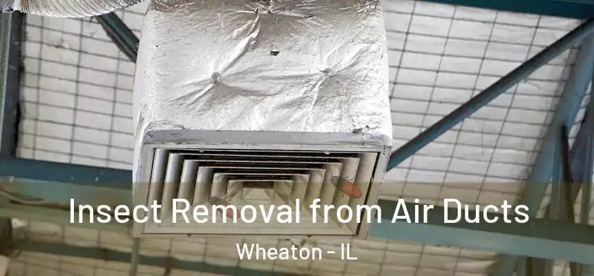 Insect Removal from Air Ducts Wheaton - IL