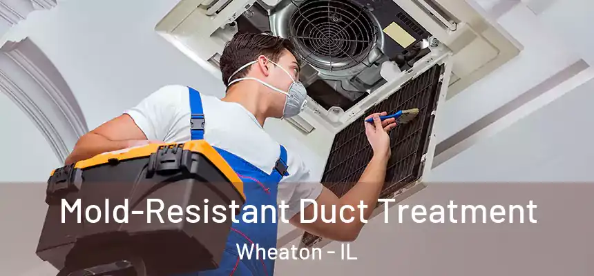 Mold-Resistant Duct Treatment Wheaton - IL