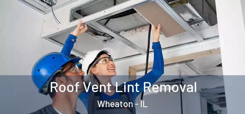  Roof Vent Lint Removal Wheaton - IL