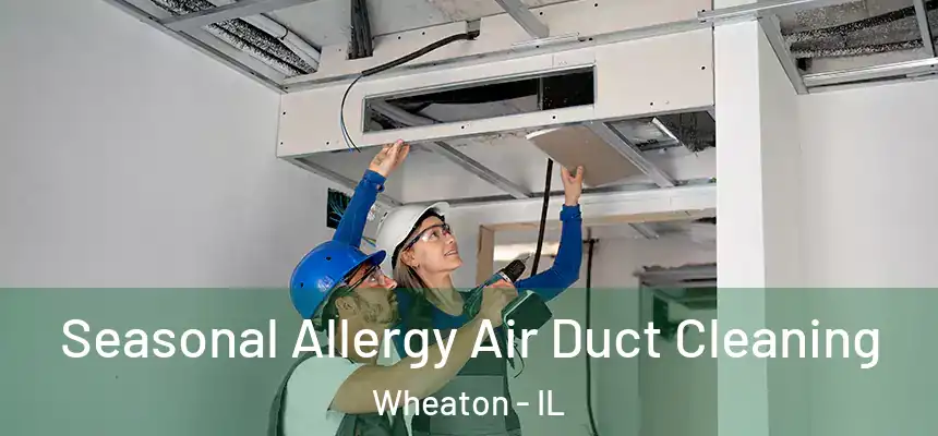 Seasonal Allergy Air Duct Cleaning Wheaton - IL