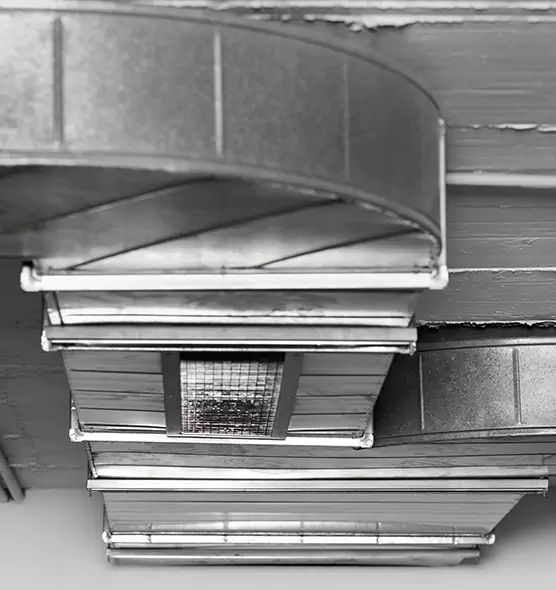 Professional Air Duct Pet Hair Removal in Wheaton, IL