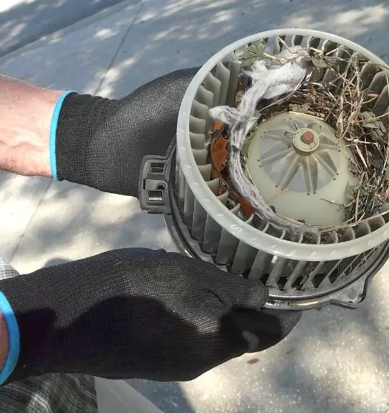 About Air Duct Rat Removal in Wheaton, IL