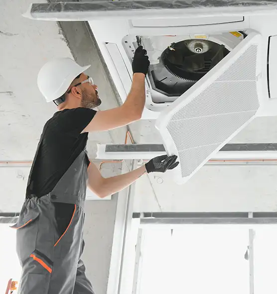 About Air Duct Rodent Removal in Wheaton, IL