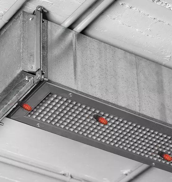 Affordable Insect Removal from Air Ducts in Wheaton, IL
