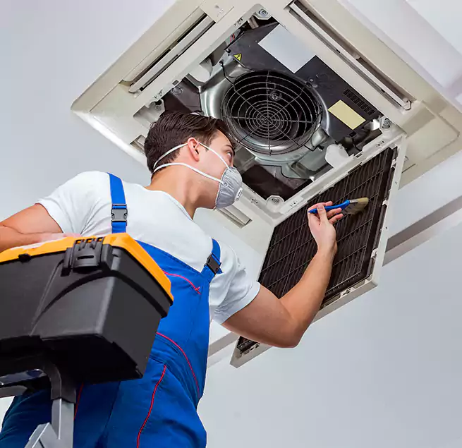 Why Homeowners & Businesses Trust Us in Wheaton, IL