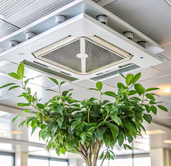 Why Homeowners & Businesses Trust Us in Wheaton, IL?